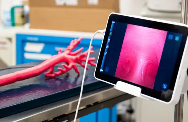 Canine Bronchoscopy - Image 5