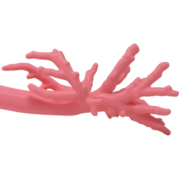 Canine Bronchoscopy - Image 2