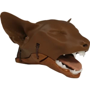 Feline Intubation