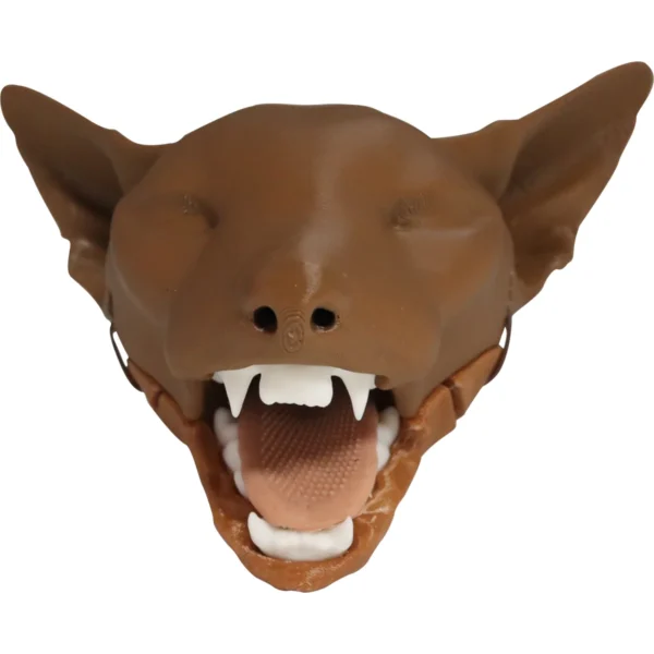 Feline Intubation - Image 3