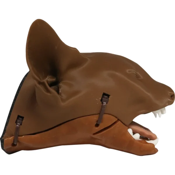 Feline Intubation - Image 2