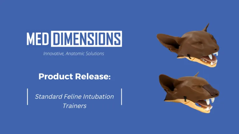 Standard Feline Intubation Trainers Product Release