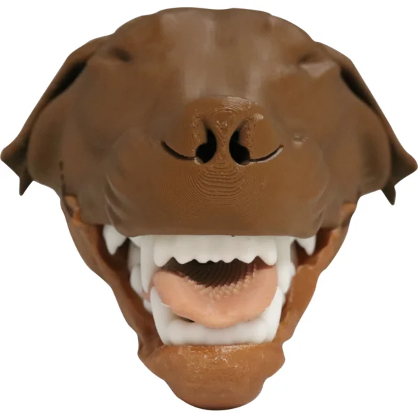 Canine Intubation - Image 3