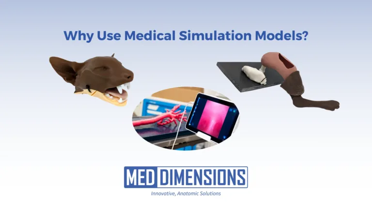Why Use Medical Simulation Models?