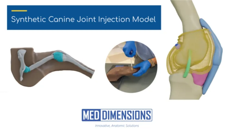 Ardent & Med Dimensions Commercialize Innovative 3D Joint Model for Veterinarians