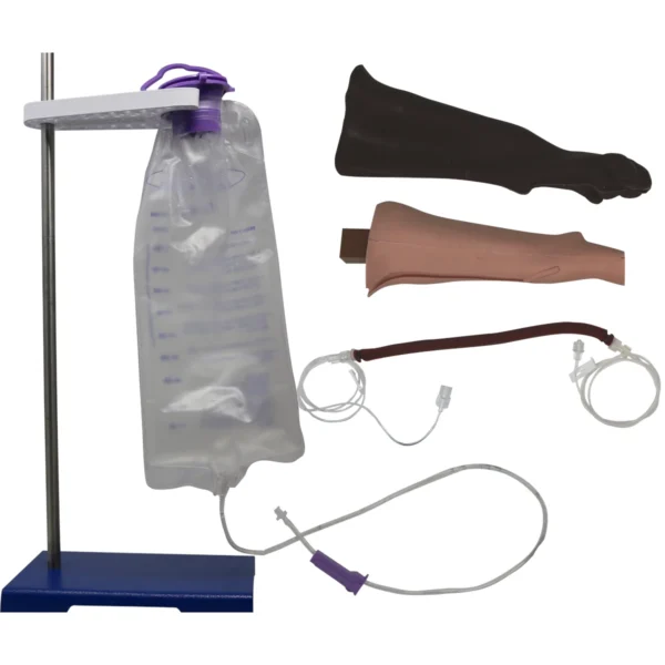 Canine Cephalic Venipuncture - Image 2