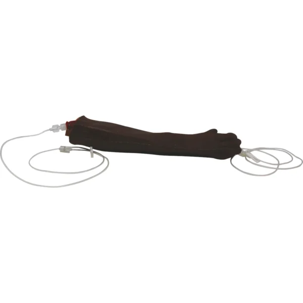 Canine Cephalic Venipuncture - Image 5