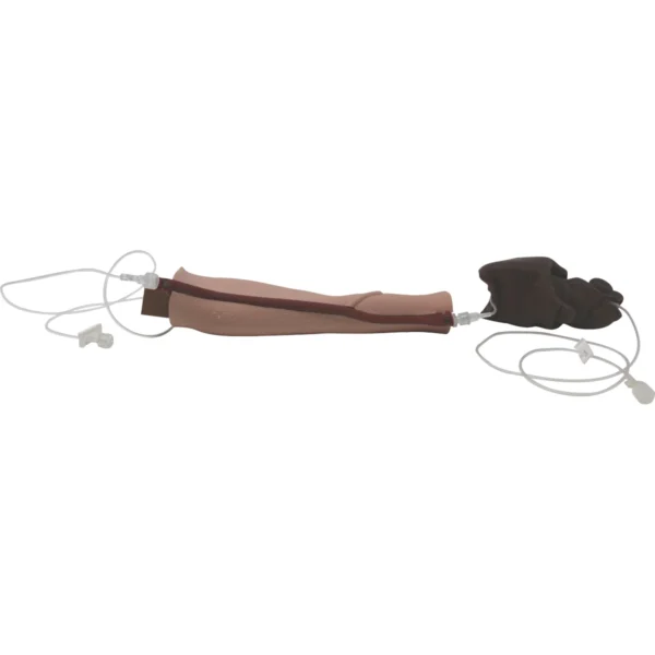 Canine Cephalic Venipuncture - Image 4