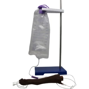 Canine Cephalic Venipuncture