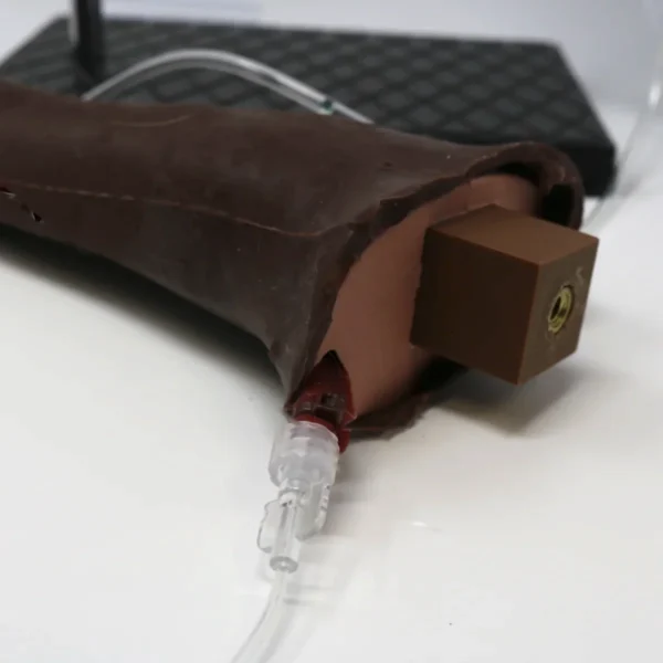 Canine Cephalic Venipuncture - Image 6