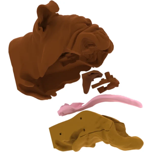 Canine Brachycephalic Intubation - Image 3