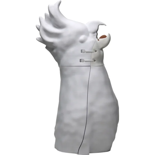 Cockatoo Intubation - Image 2