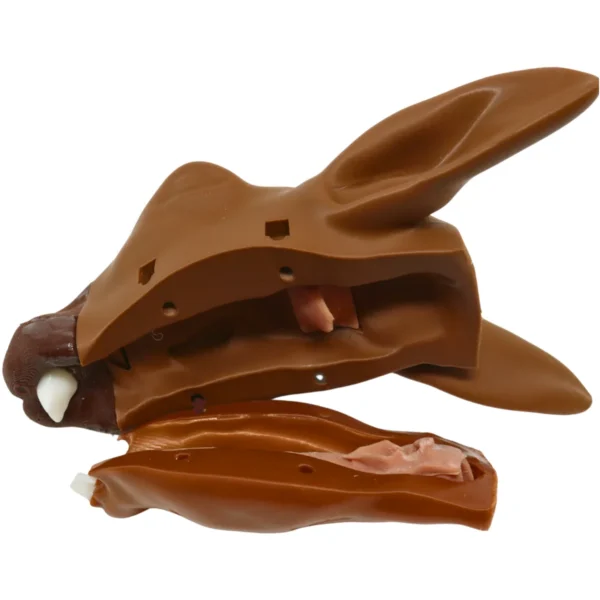 Rabbit Intubation - Image 2