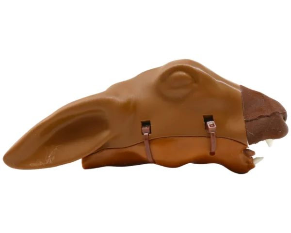 Rabbit Intubation - Image 4