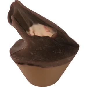 Canine Otoscopy Replacement Ear