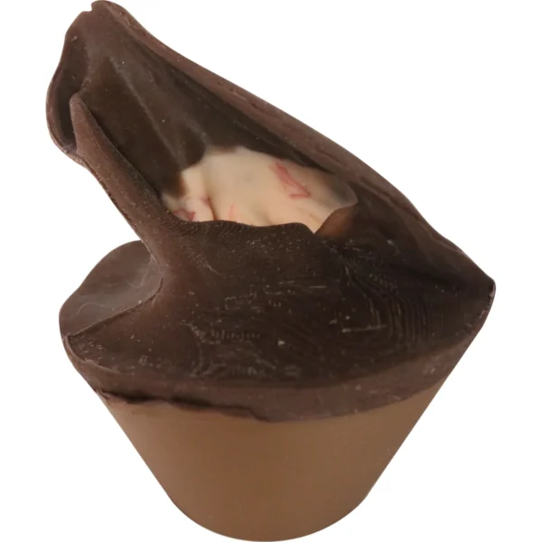 Canine Otoscopy Replacement Ear