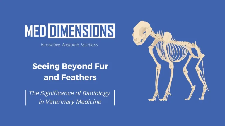 Seeing Beyond Fur and Feathers: The Significance of Radiology in Veterinary Medicine