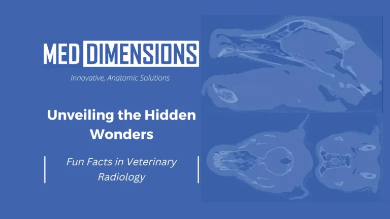 Unveiling Hidden Wonders: Fun Facts About Radiology