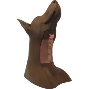 Canine Cricothyrotomy & Tracheostomy