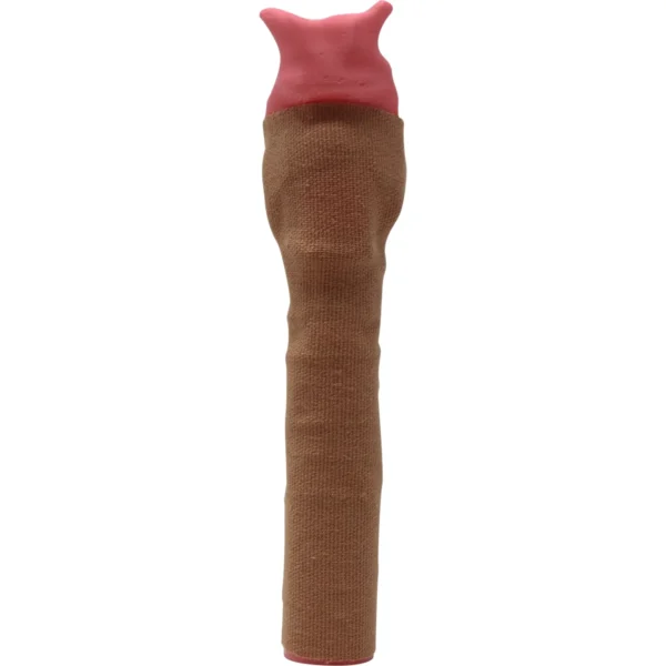 Canine Cricothyrotomy & Tracheostomy - Image 3