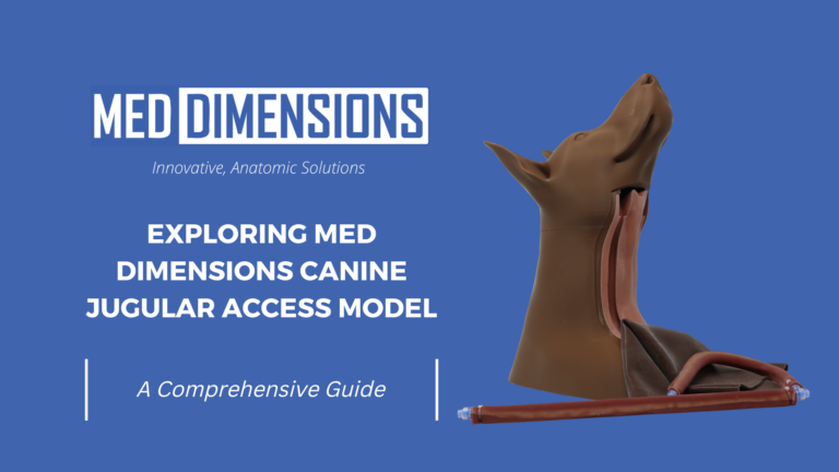 Exploring Med Dimensions’ Canine Jugular Access Model: A Comprehensive Guide