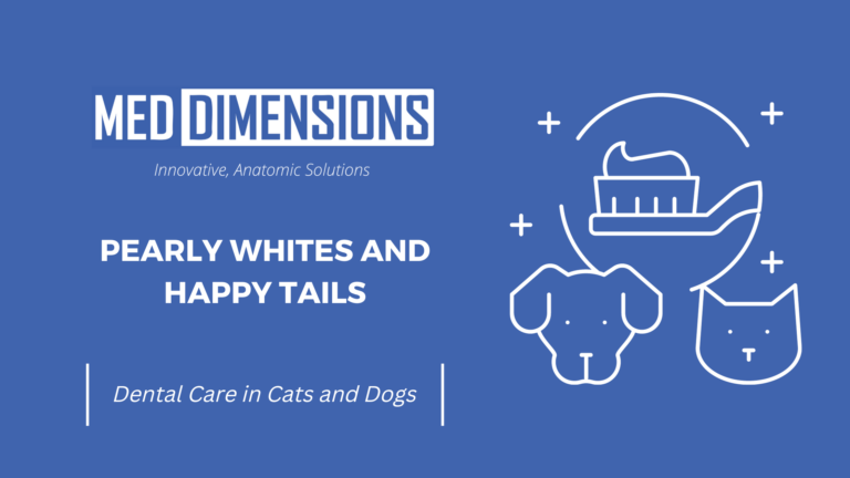 Pearly Whites and Happy Tails: Dental Care in Cats and Dogs