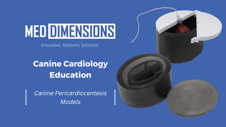 Canine Cardiology Education: Canine Pericardiocentesis Models