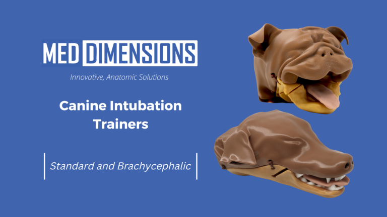 Canine Intubation Trainers: Standard and Brachychephalic