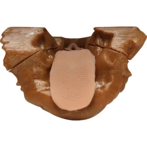 Canine Brachycephalic Replacement Jaw/Tongue