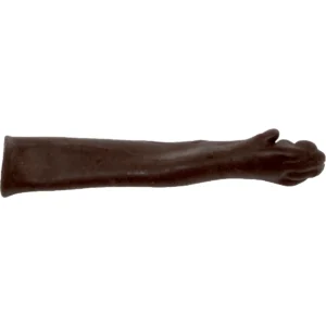 Canine Cephalic Venipuncture Replacement Skin