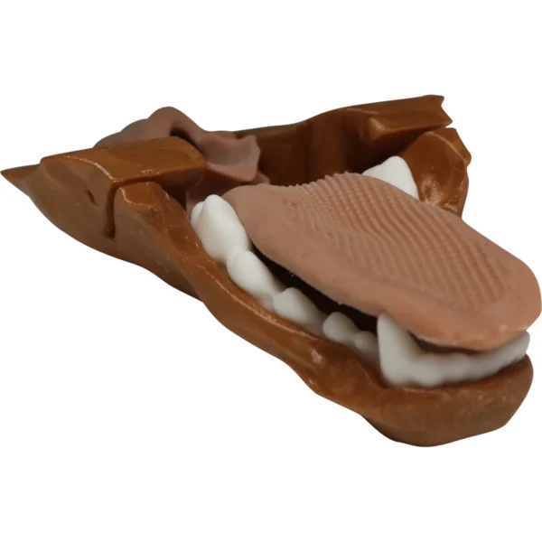 Canine Intubation Replacement Jaw/Tongue