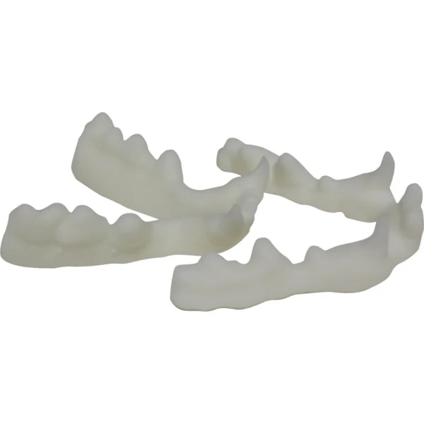 Feline Intubation Replacement Teeth