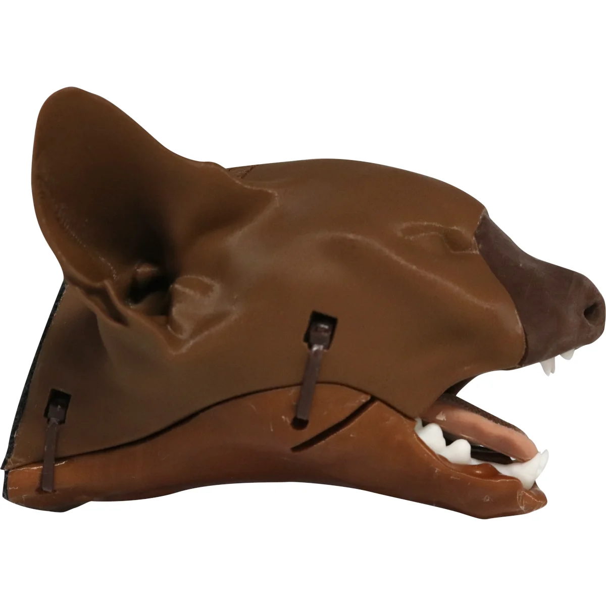Feline Intubation w/ NG - Image 3